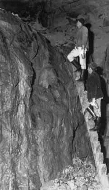 Cum erau torturați proprietarii de mine din Munții Apuseni în primii ani ai comunismului: „Predă aurul! Dă-l, știm că mai ai!”