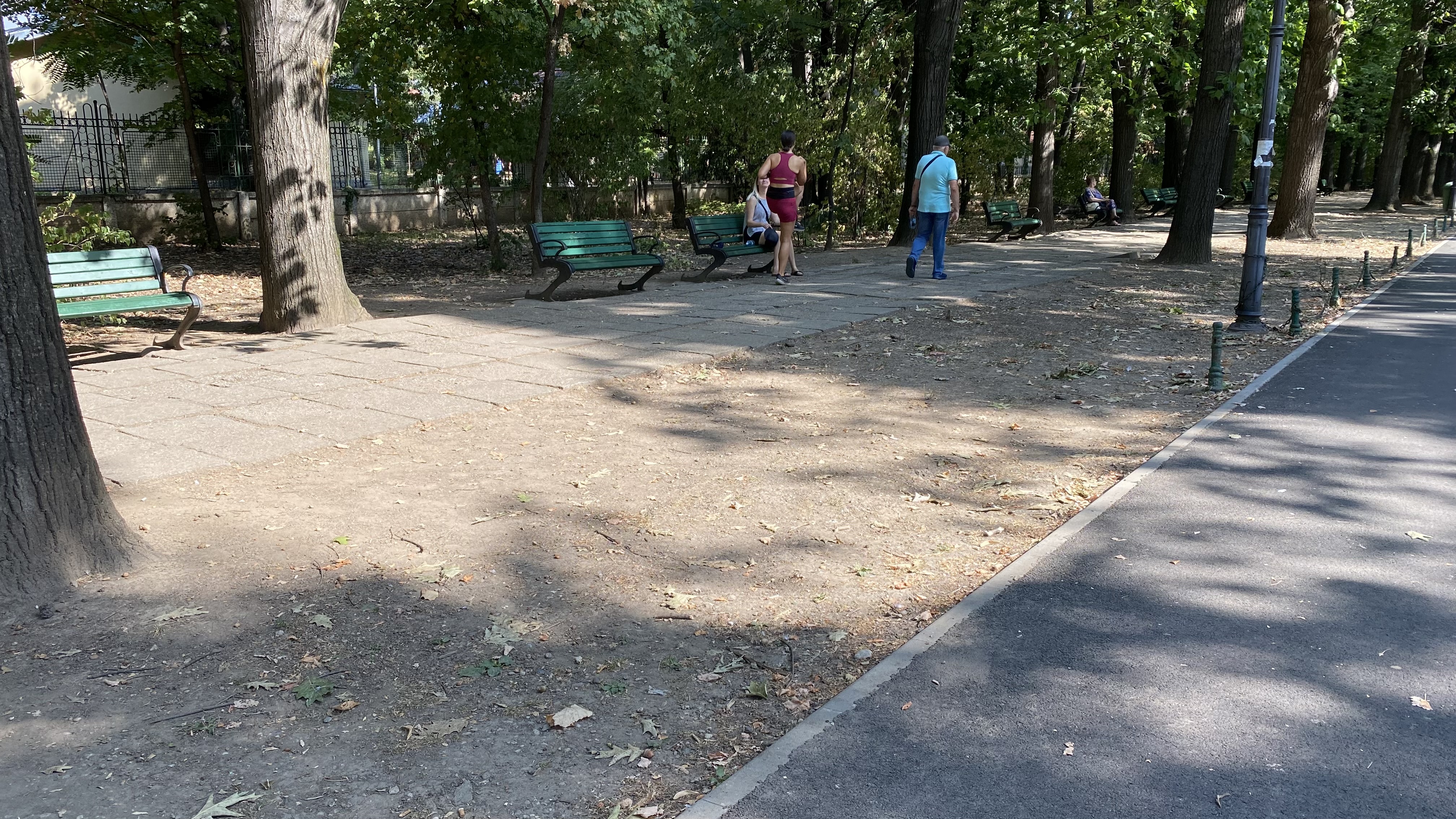 FOTO. Herăstrău, cel mai mare parc al Bucureștiului, arată mai rău ca niciodată. Trandafirii și zonele cu flori sunt istorie, clădirile pentru expoziții au fost vandalizate