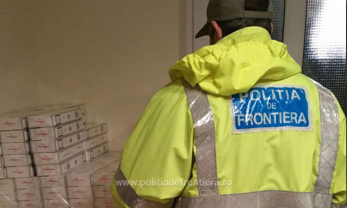 Averea îngropată în curtea unor contrabandiști de țigări din Constanța. Suma colosală a fost confiscată / FOTO&VIDEO