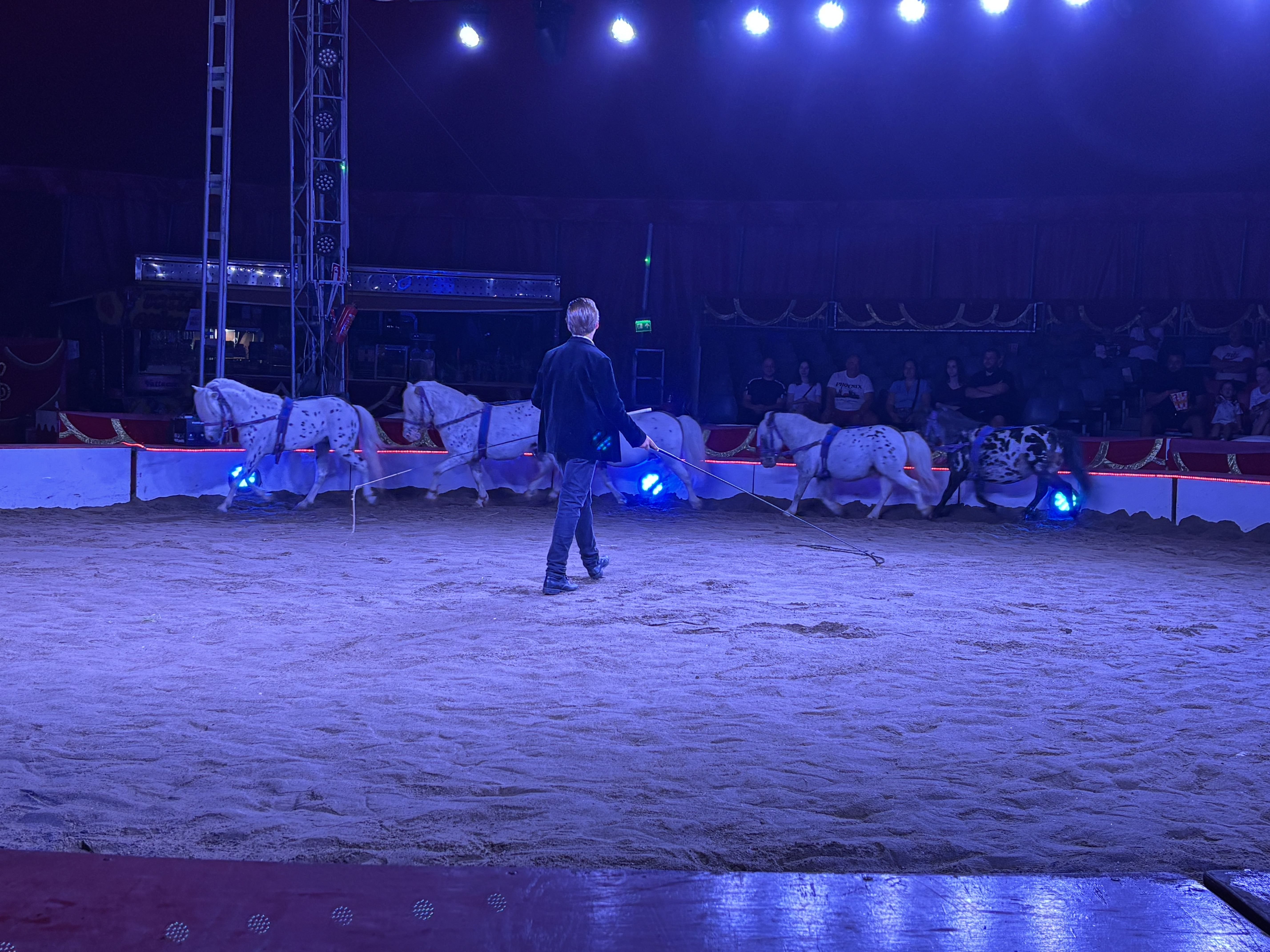 Din nou la Circ. Râzi cu Clovnul, te amuzi cu cai și papagali. Ți se taie răsuflarea cu acrobați. Nimic nu se compară cu Globul Morții
