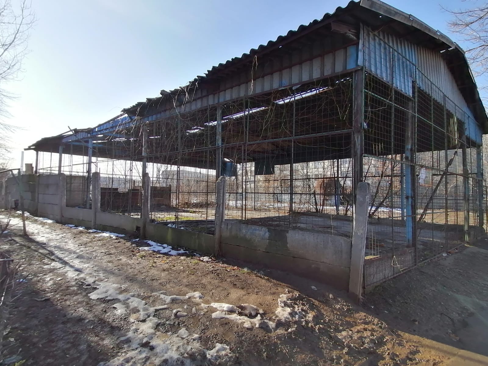 UPDATE | Kaufland construiește un nou magazin în locul fostei baze sportive Girueta din București și amenajează un teren de sport pe acoperiș