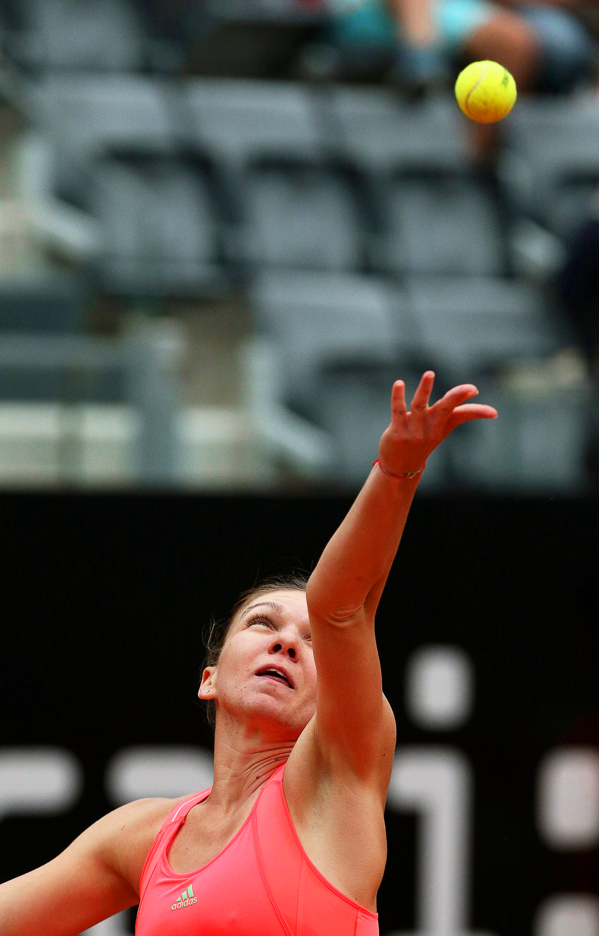 Halep a bătut-o rău pe Dulgheru / LIVE BLOG&GALERIE FOTO