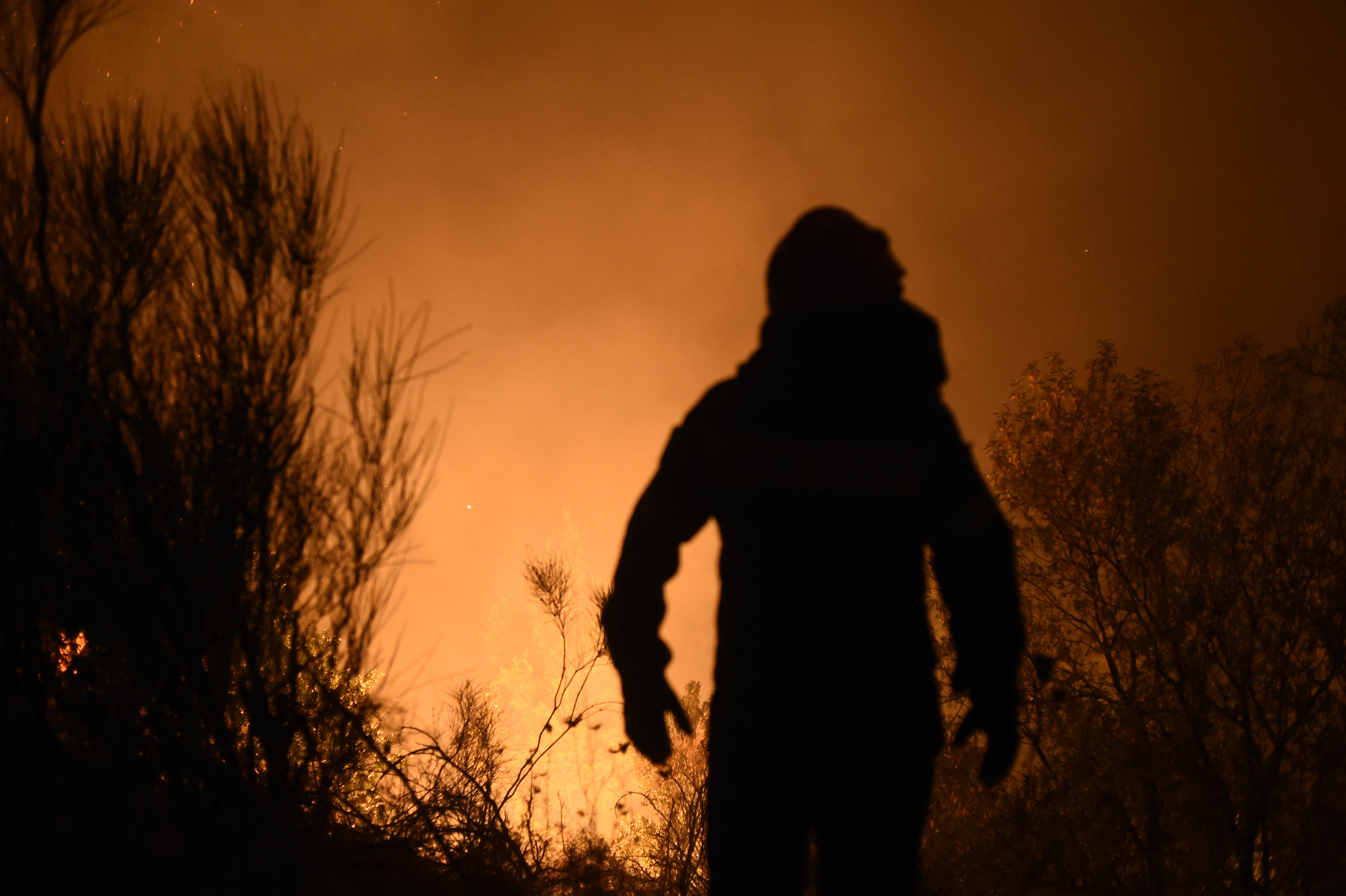 „Închideți geamurile și nu ieșiți din case”. Avertismentul primit de locuitorii din Atena, în urma incendiilor
