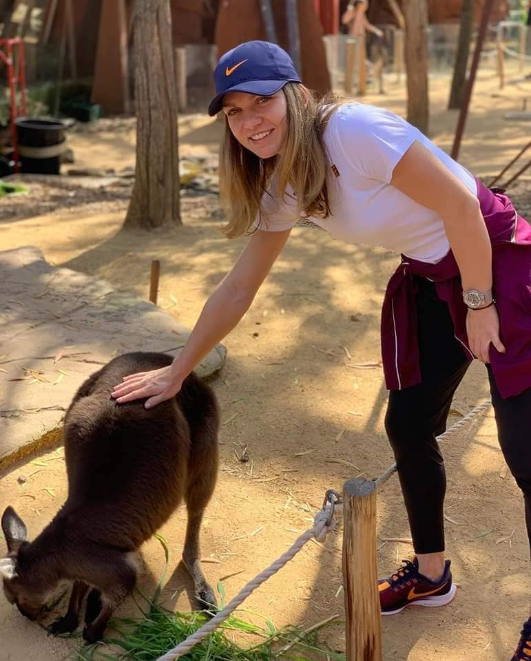 Simona Halep a vizitat grădina zoologică din Sydney. Liderul mondial debutează marți | GALERIE FOTO&VIDEO