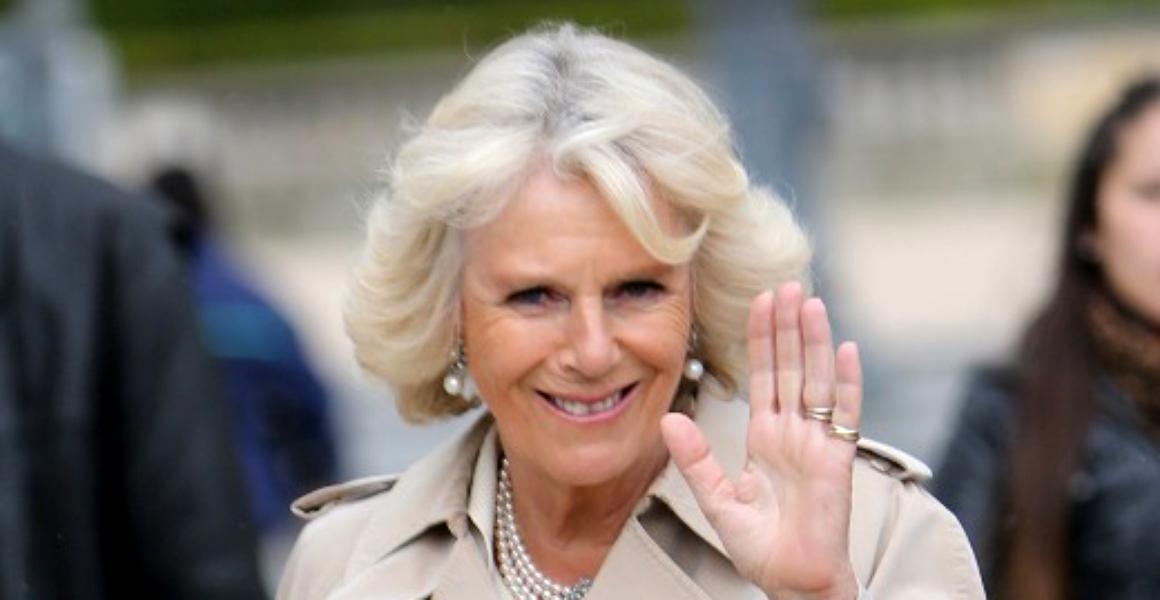 FOTO | Replica de neuitat a Prințesei Diana pentru Camilla Parker