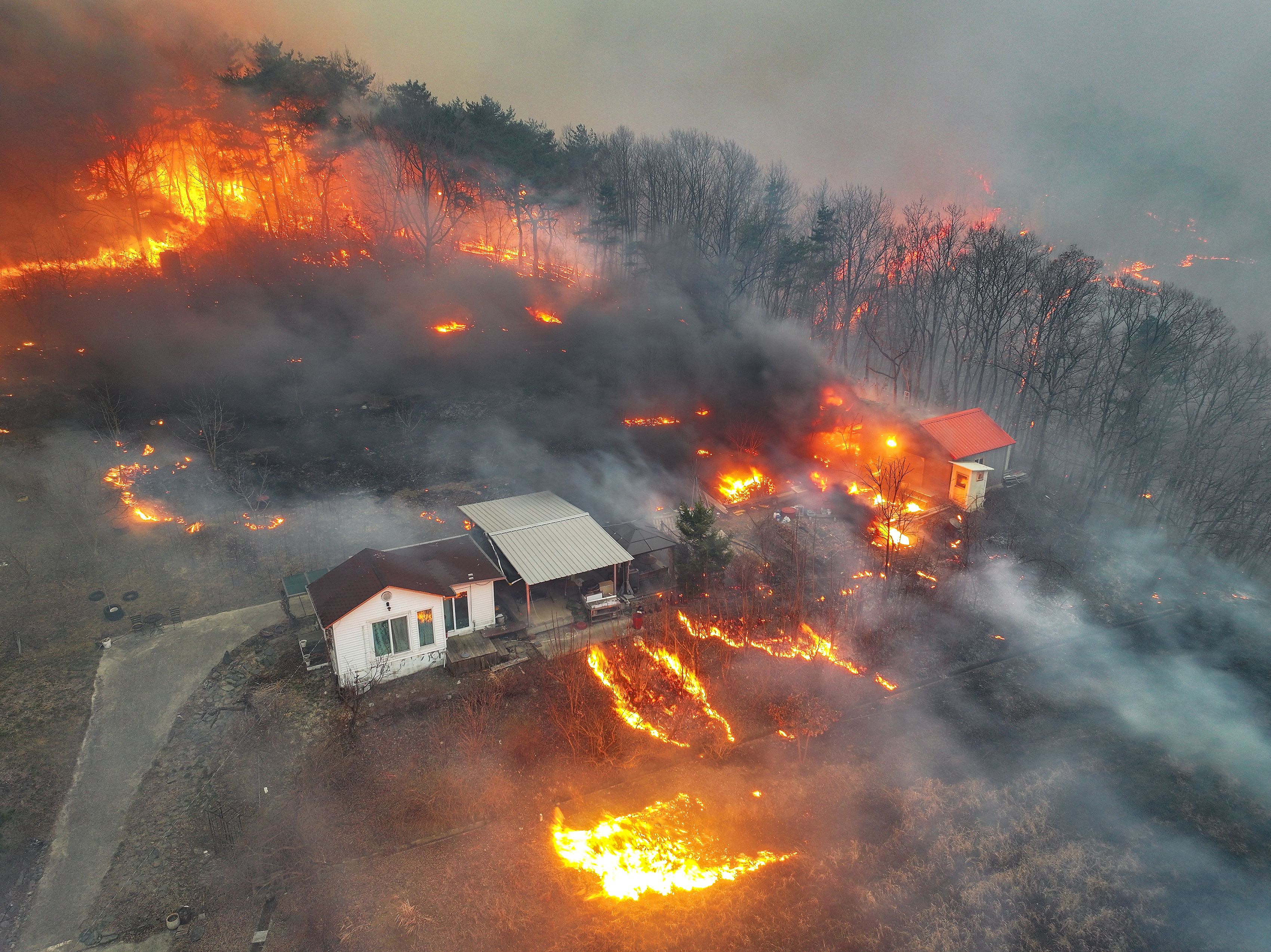 Incendii puternice de vegetație în Coreea de Sud. Cel puțin 18 oameni au murit și 19 au fost răniți