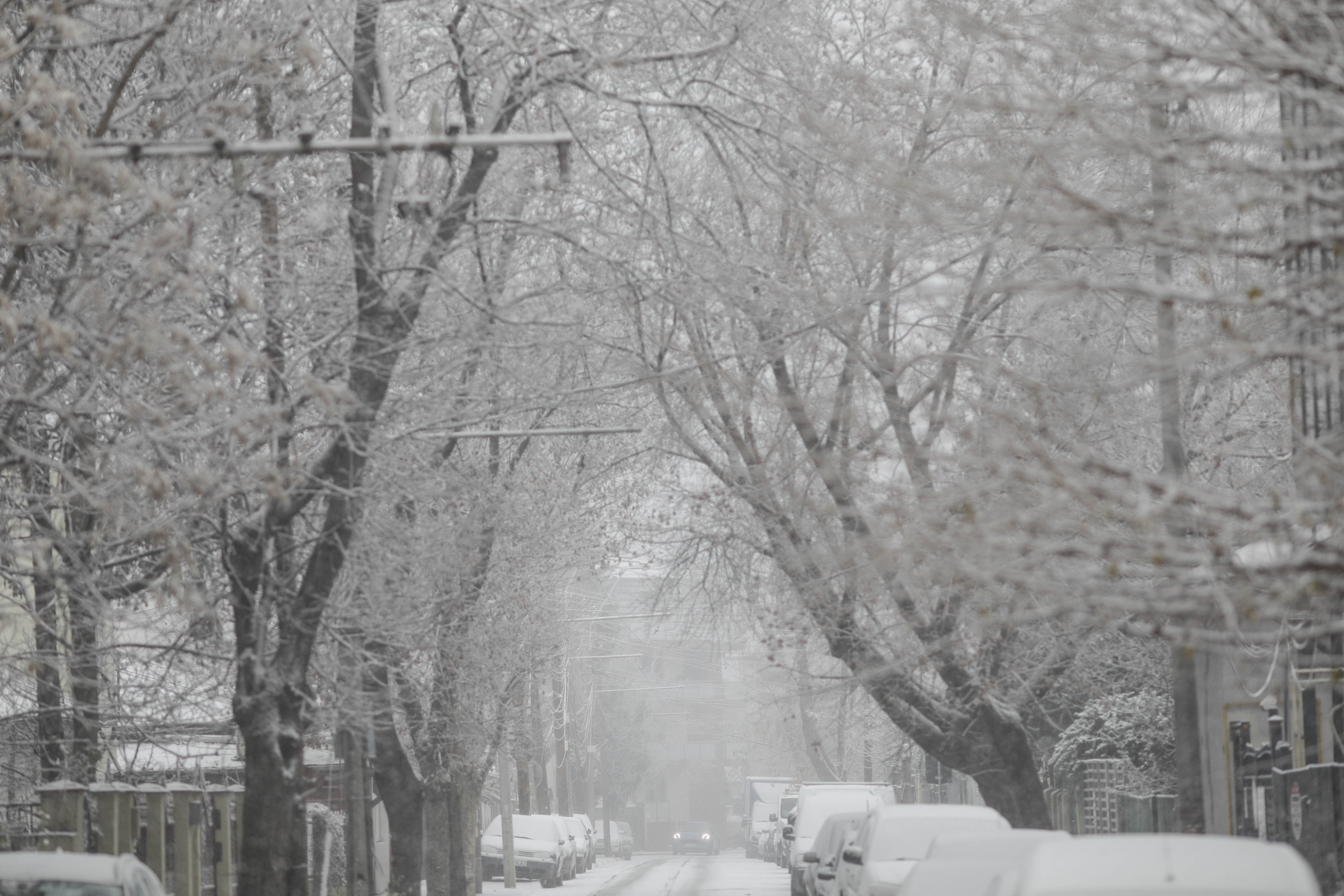 Fenomen ciudat în București: a nins doar în anumite zone. Un meteorolog explică „ninsoarea atipică”, pe care ANM nu a prevăzut-o