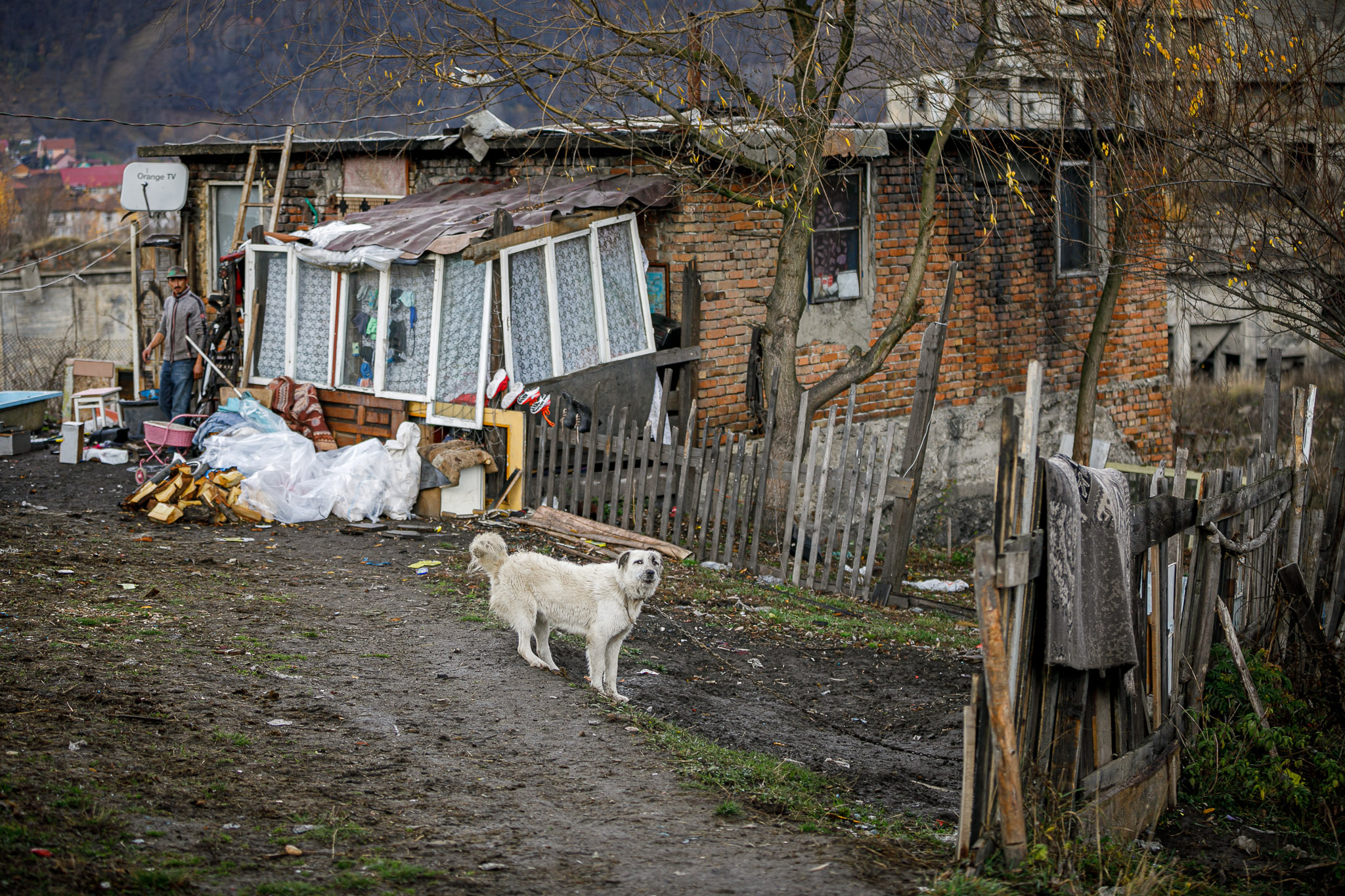 Colonia Bosnia, Petroșani. În cea mai săracă zonă din Valea Jiului, oamenii cer un singur lucru de la conducători: „Să ne dea și nouă pubele!”﻿