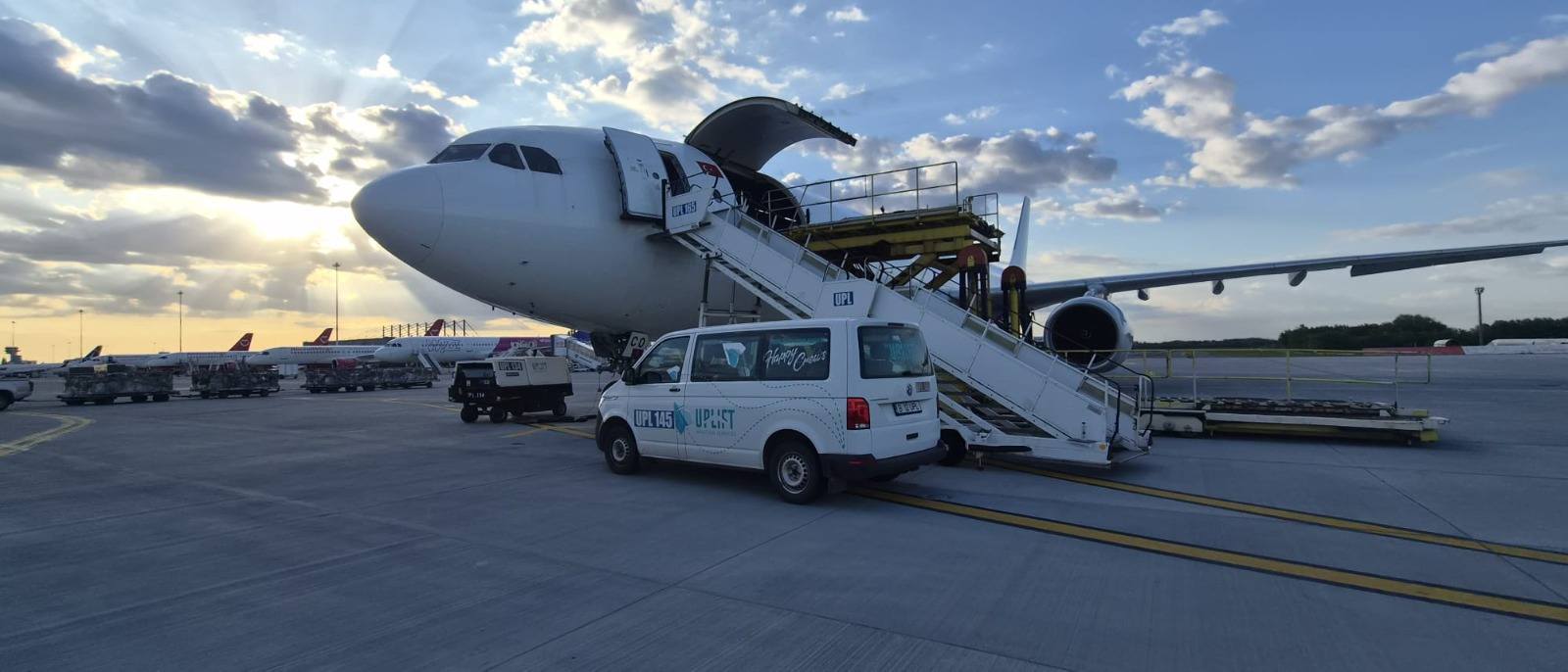 Peste 4.000 de oi, trimise din România în Algeria cu avioane cargo: „Au ajuns în siguranță în două ore și jumătate”