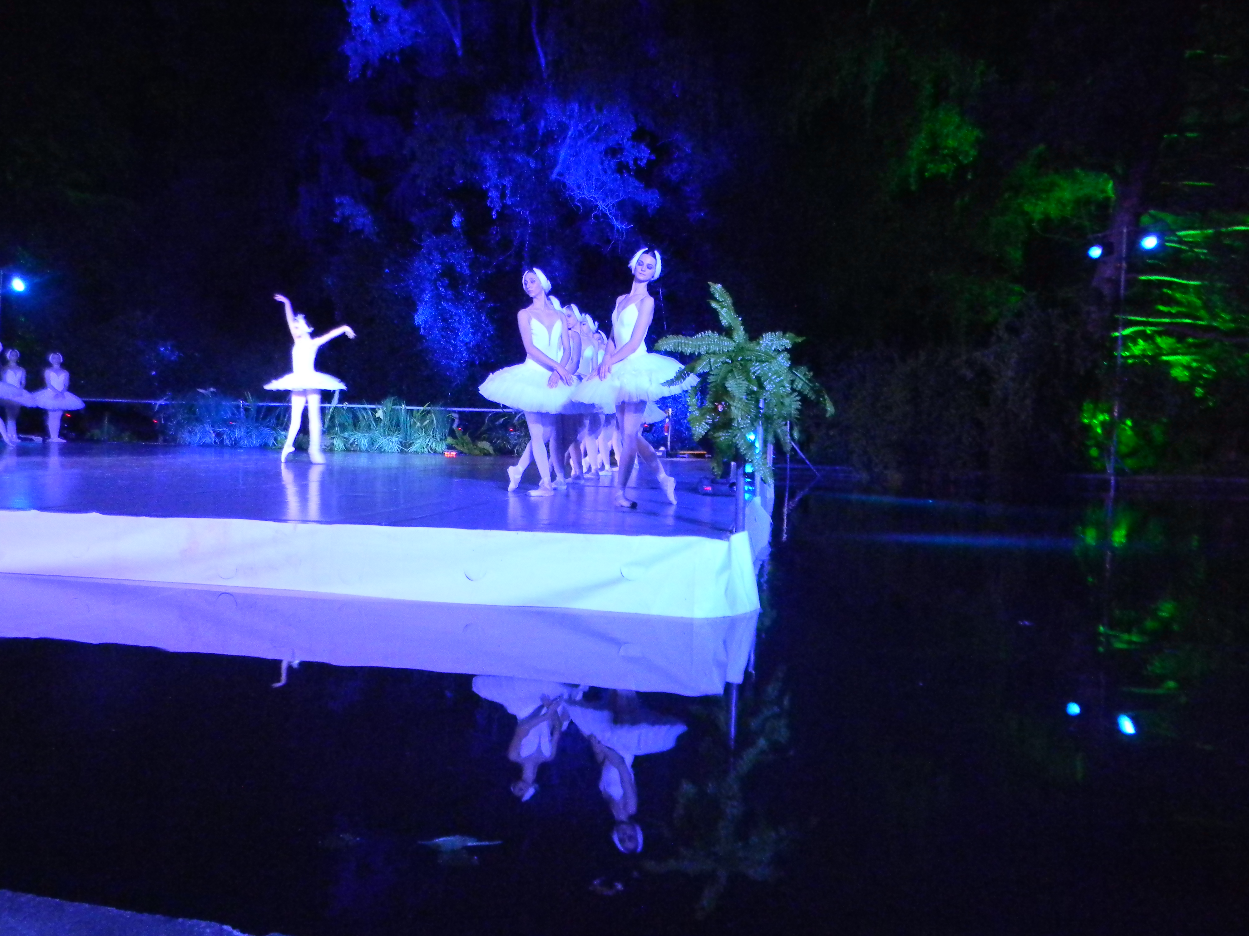 Opera s-a mutat în stradă! Baletul «Lacul lebedelor» s-a dansat în decor natural în Parcul Central din Cluj