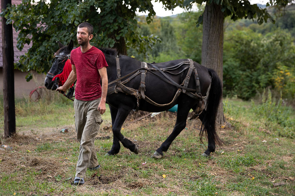 Unde se duc prunele din Coca-Antimirești, Buzău, când se coc: „La porci. Cerbii mănâncă de trosnesc. Vin urșii, mistreții. N-avem unde vinde”
