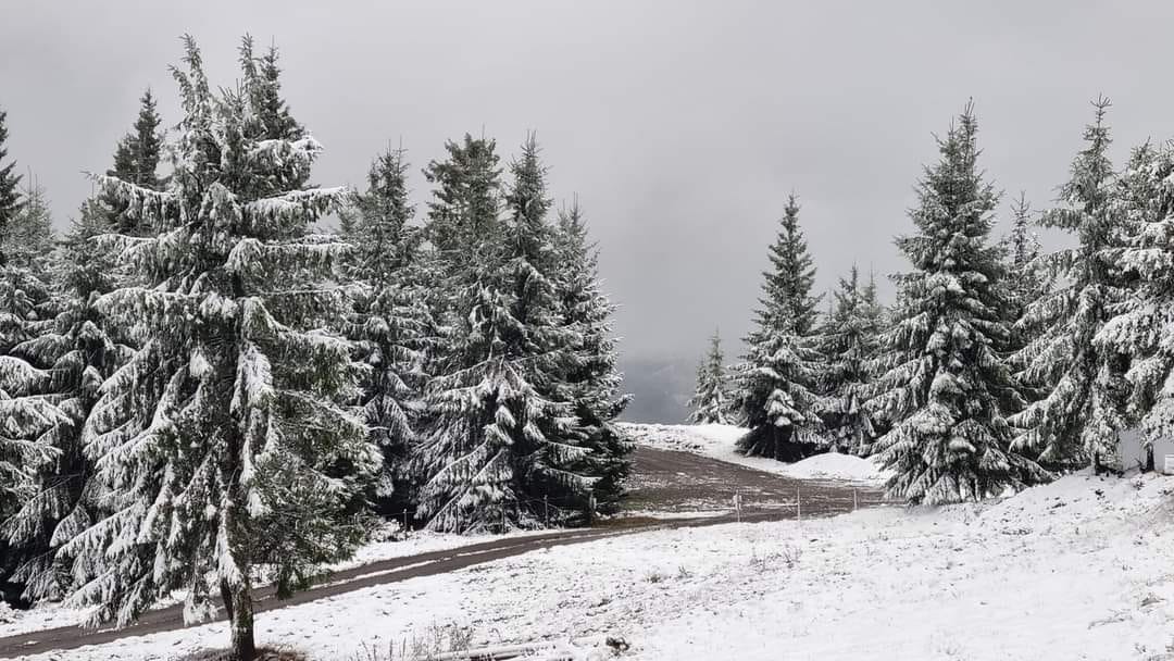 A nins pe Transalpina. Drumarii intervin cu utilaje şi dau cu material antiderapant | VIDEO