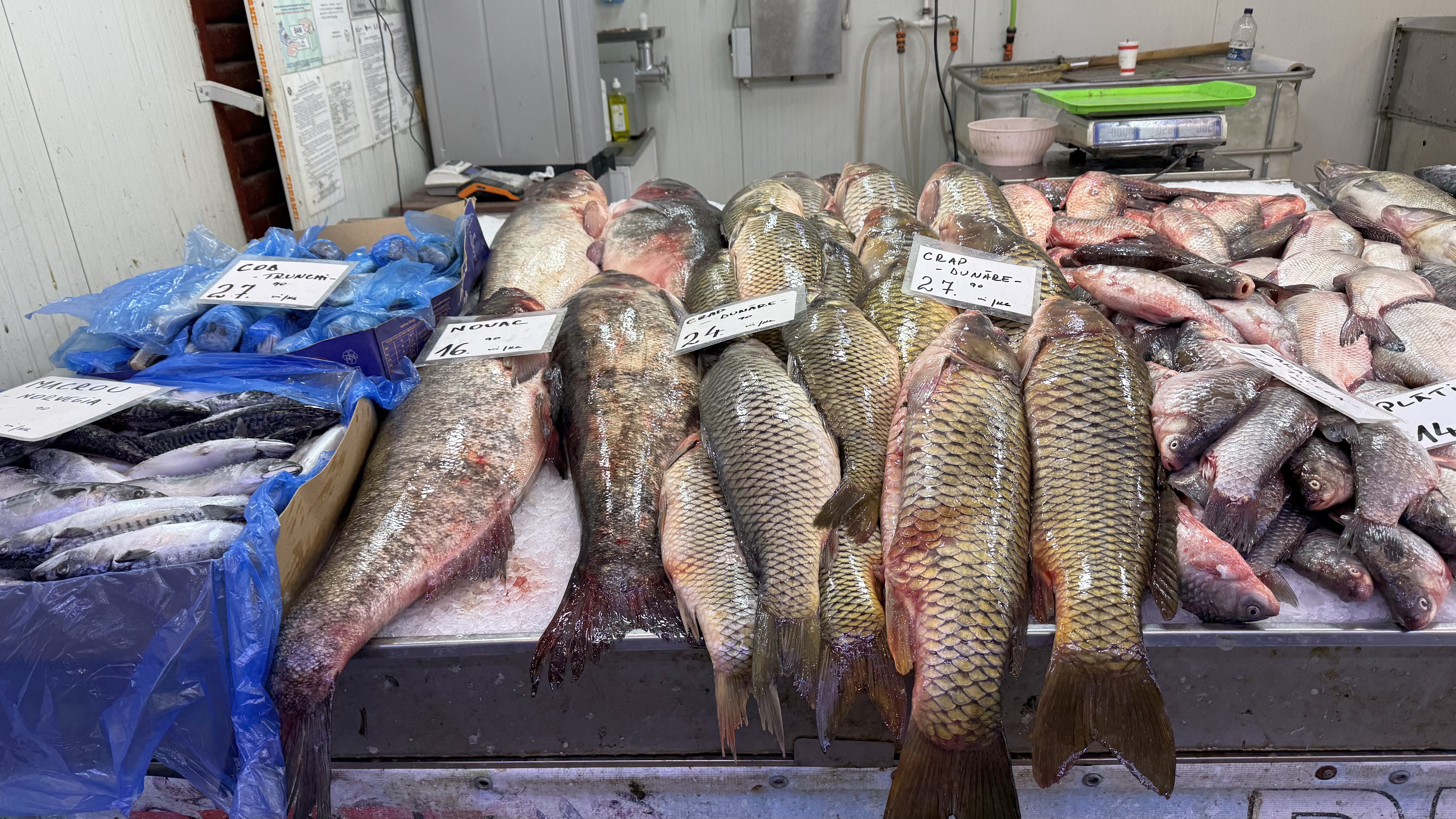 Alertă de prețuri în piețe pentru prima dezlegare la pește din Postul Paștelui. Delicatesa care a ajuns să coste 700 de lei kilogramul