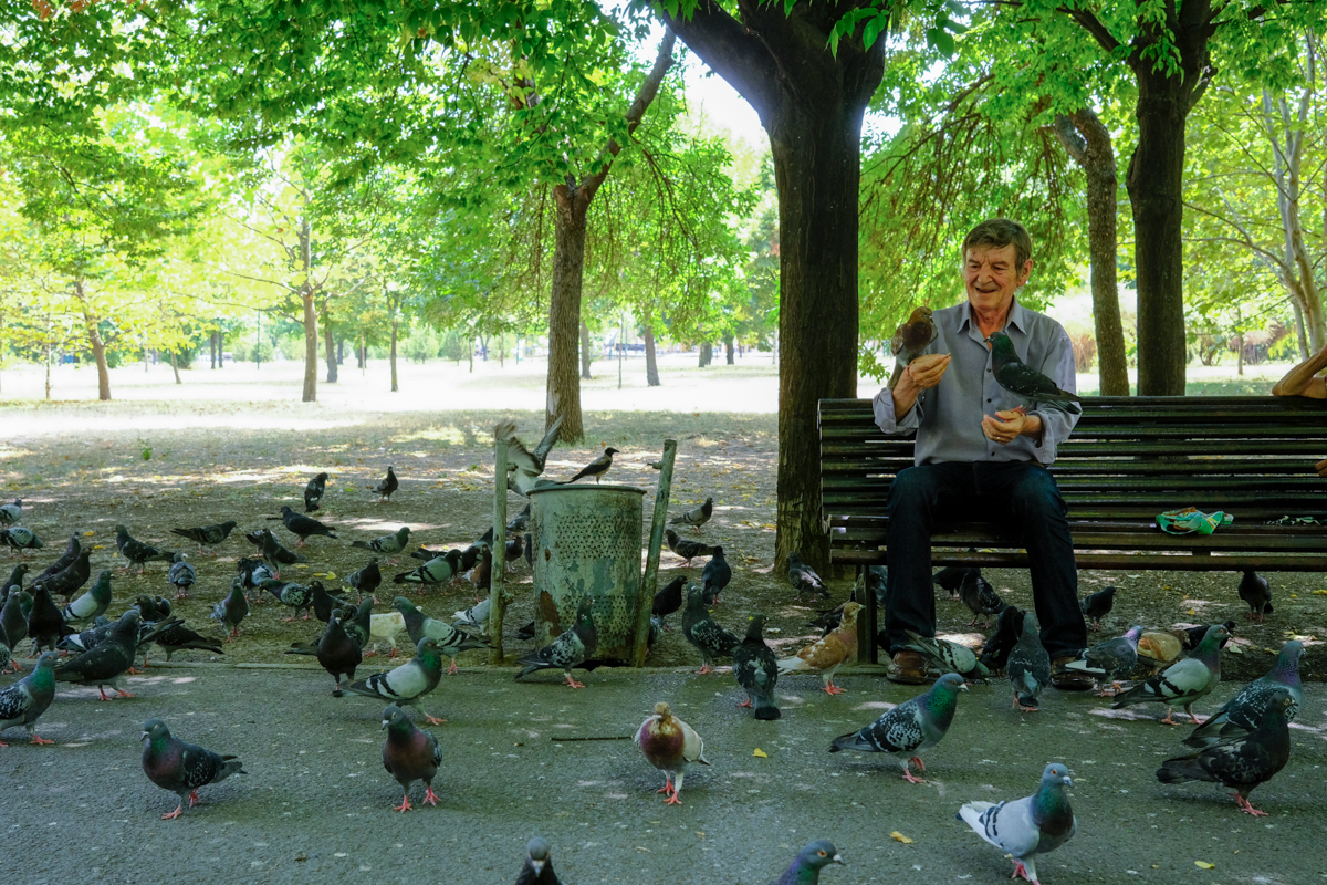 Concesionarea Parcului Izvor, între „festivalizarea orașului” și „nu-l distrugem, îl facem mai frumos”