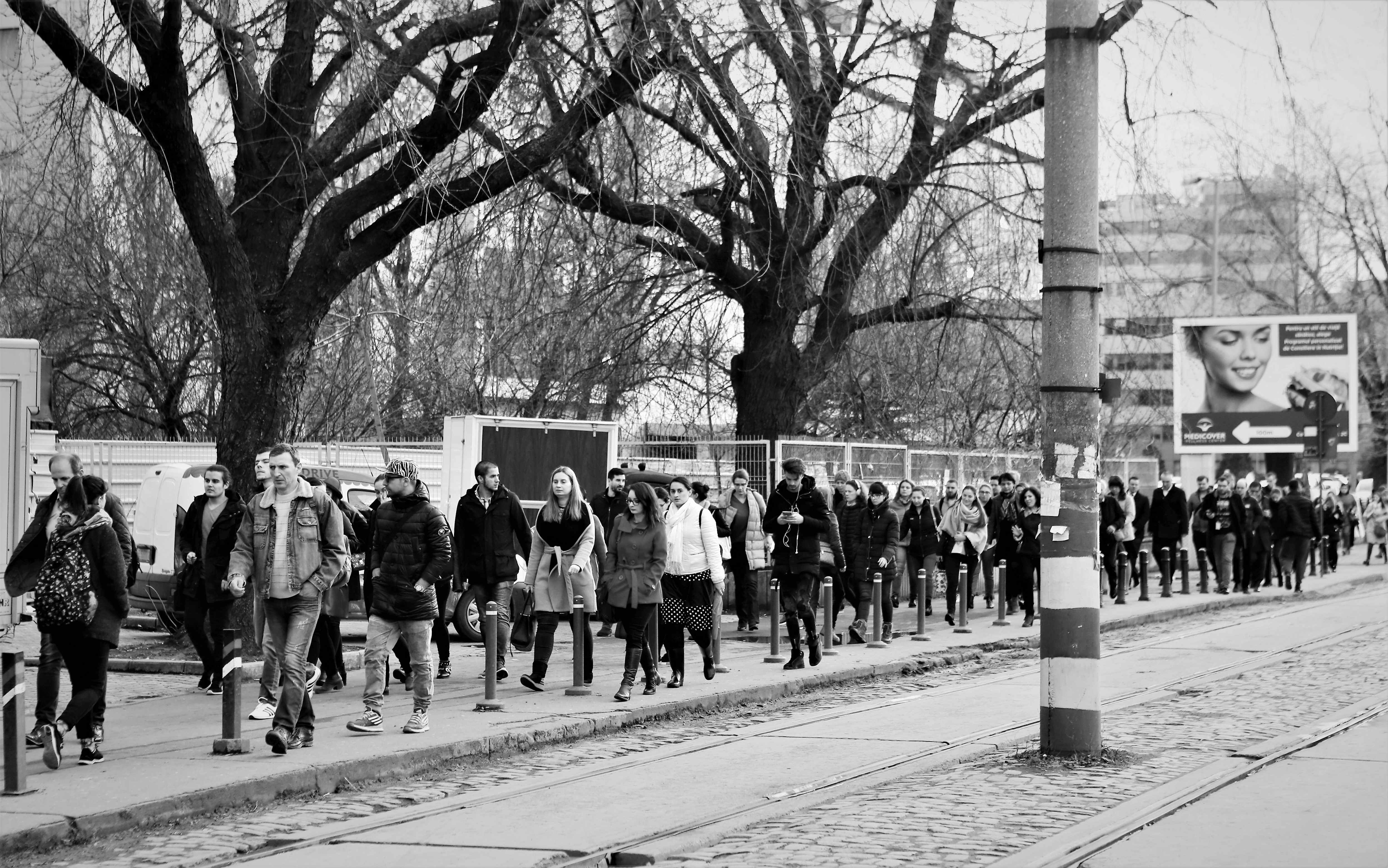 FOTOREPORTAJ | #salvatipipera, între ALB și NEGRU