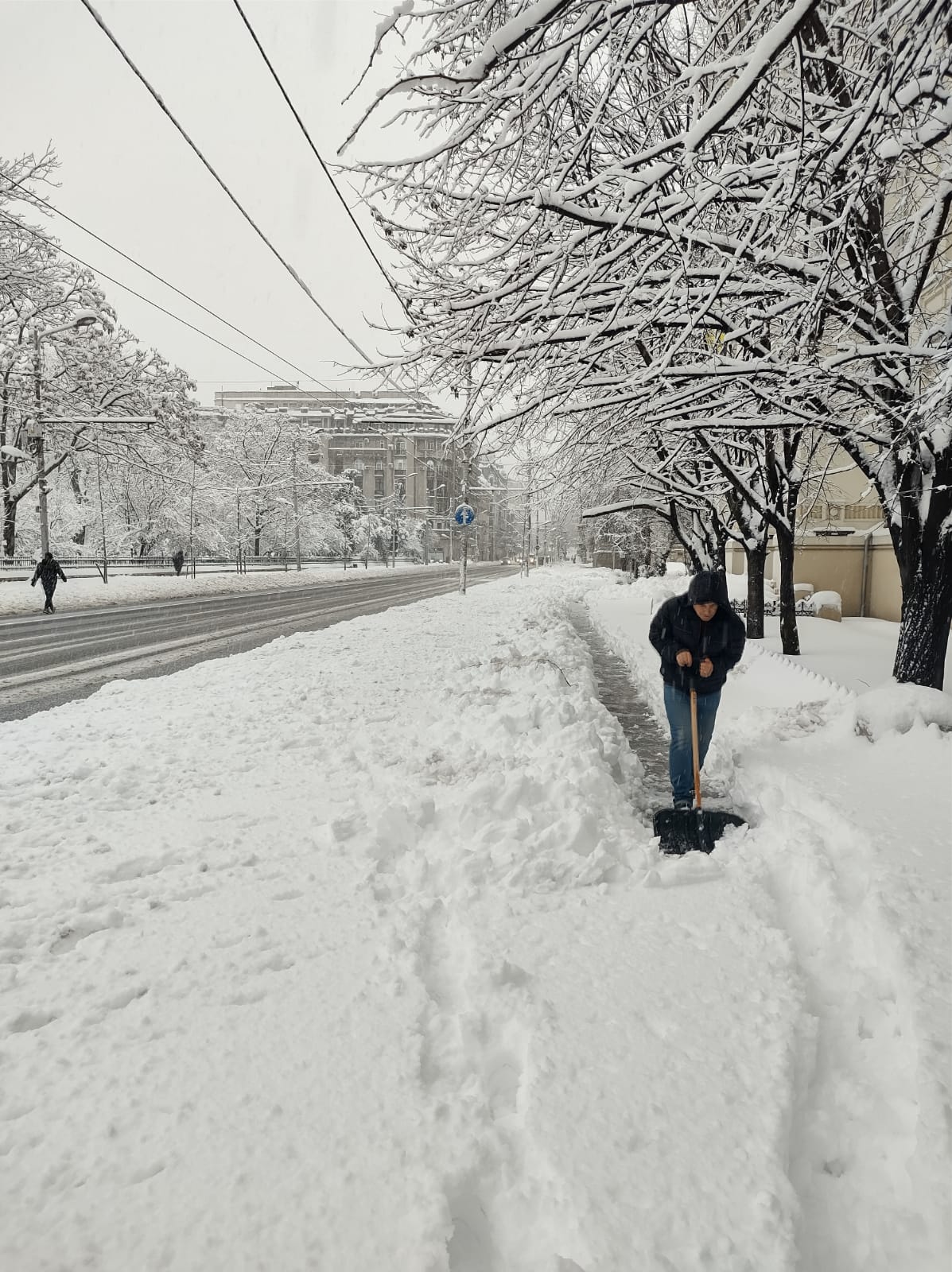 Ciprian Ciucu a ieșit la miezul nopții pe străzile din București. Dimineața, Primăria îi lăuda pe cetățeni că au deszăpezit orașul: „Primarul coordonează situația. Par mobilizați”