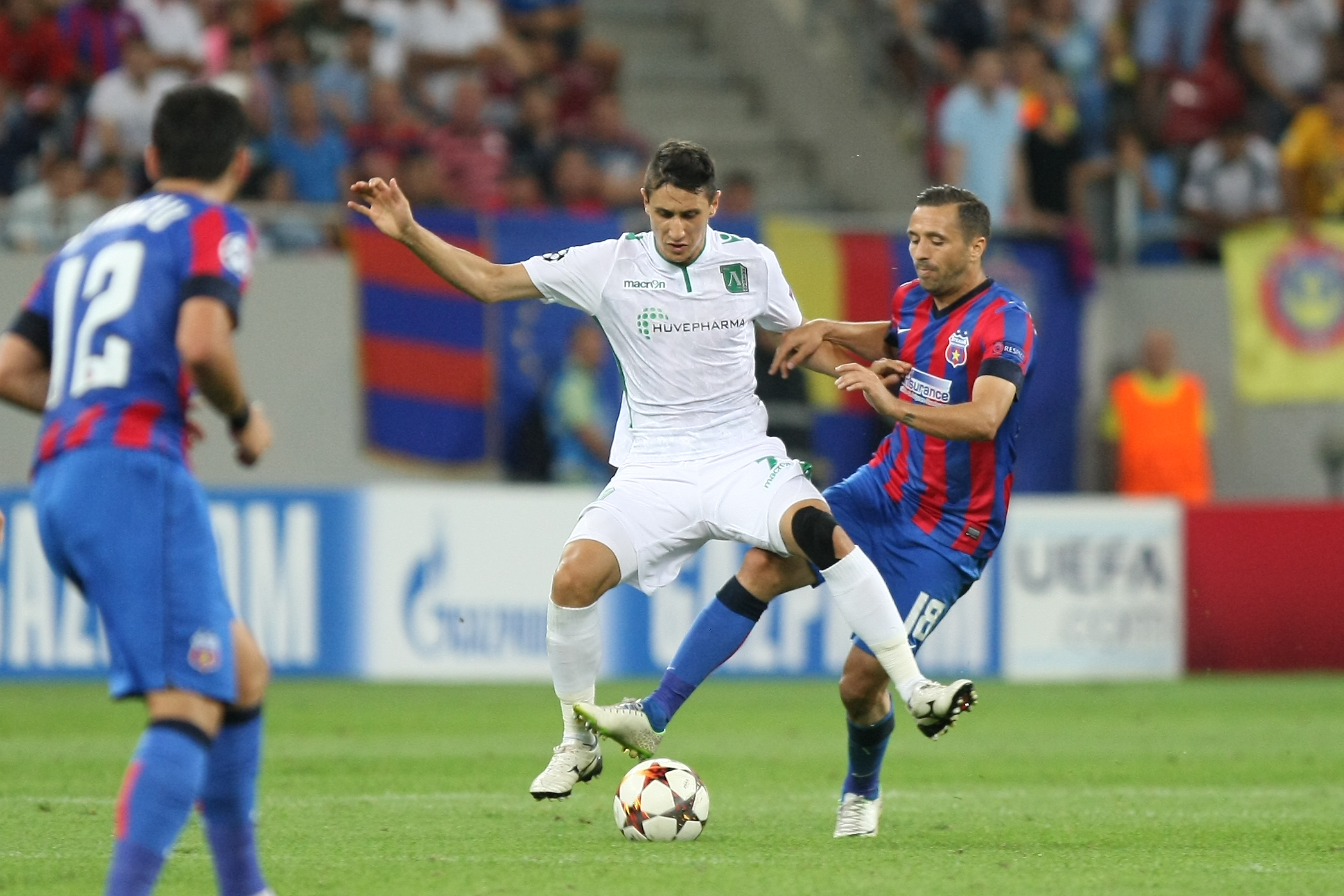 FOTO&VIDEO / Steaua - Ludogoreţ 1-0. Chipciu a adus victoria în minutul 88