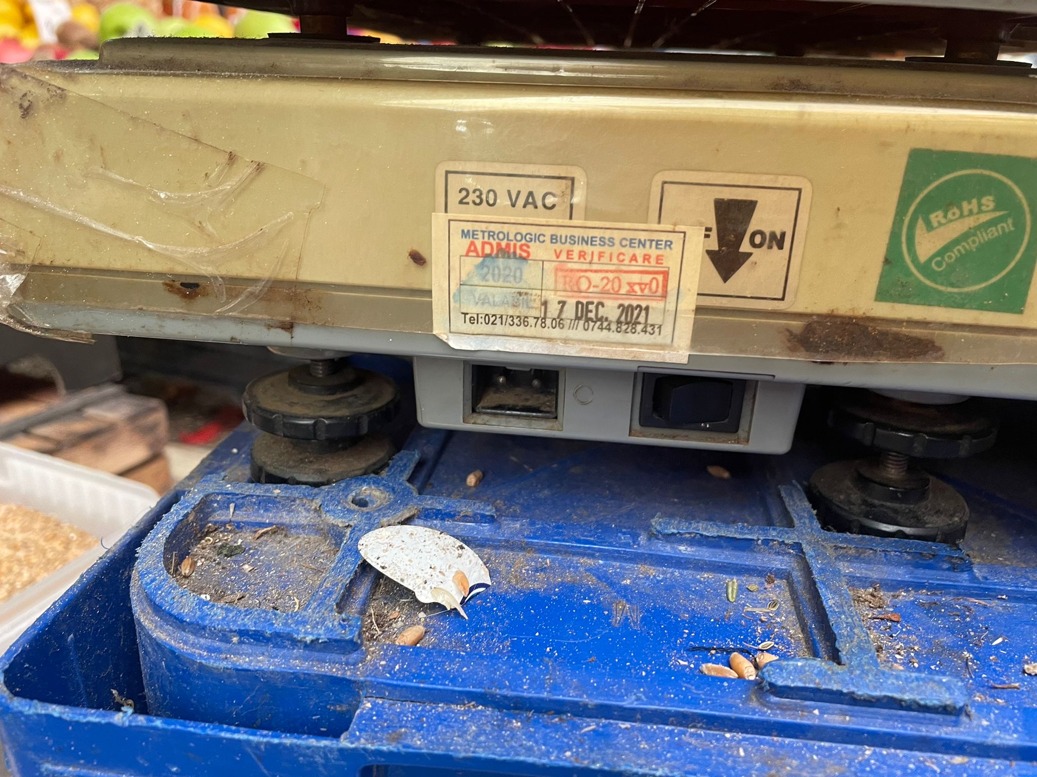 Piața Gemeni, închisă temporar pentru nereguli importante. „Vindeți pisici aici?”