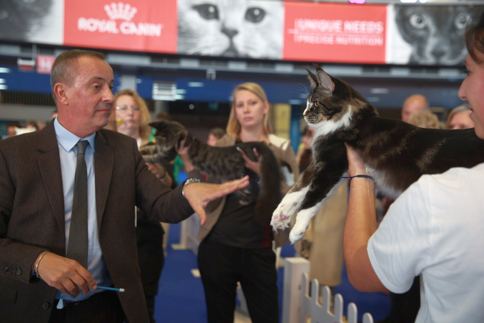 Libertatea a mers la Campionatul Mondial Felin. Bucureștiul, capitala mondială a pisicilor: peste 750 de feline din întreaga lume au strălucit la Romexpo