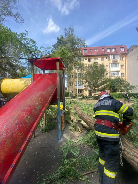 Un copil a fost rănit la locul de joacă după ce un copac s-a rupt şi a căzut peste el, la Suceava. FOTO