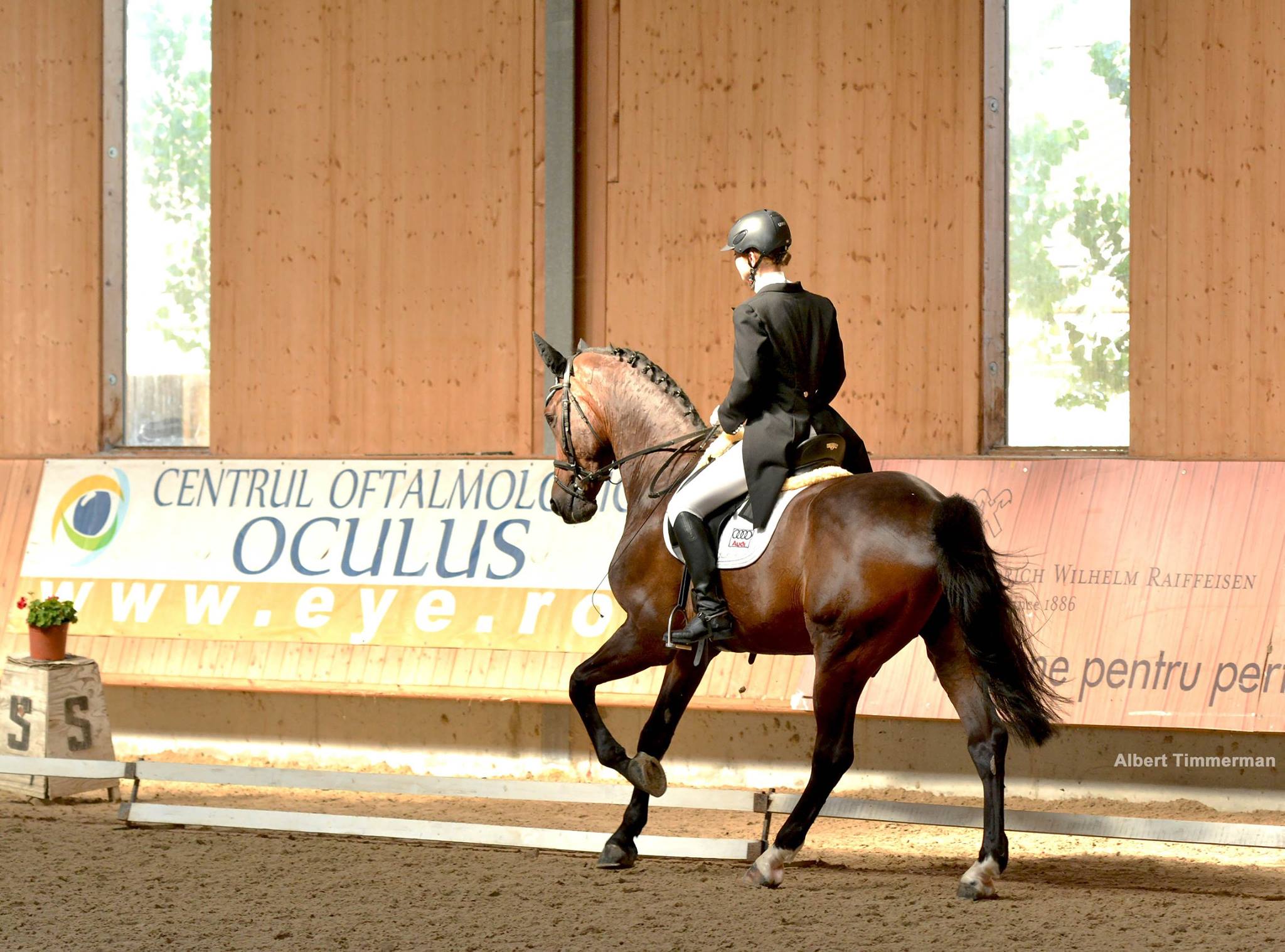 Prima “Clinică de Dresaj” din țară are loc la Clubul Equestria / GALERIE FOTO