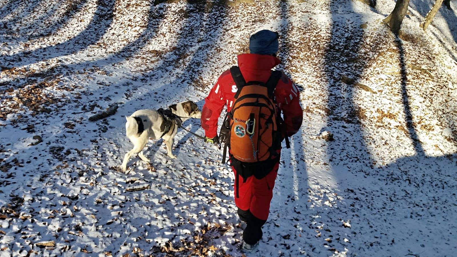 Un câine căzut într-o prăpastie, speriat de petardele de la Revelion, a fost salvat după o săptămână