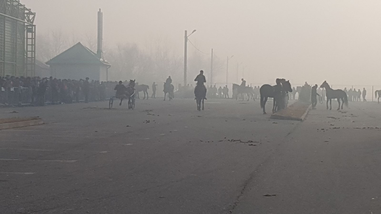 REPORTAJ: De Bobotează, caii din orașul lui Nea Mărin au fost stropiți cu agheasmă ca să nu se prindă blestemele de ei| FOTO