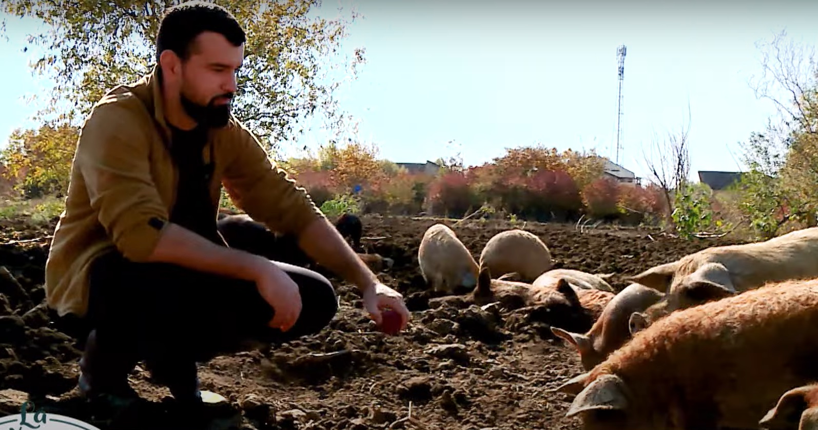 Imagini cu ferma de păsări și porci a tenorului Vlad Miriță. De la el cumpără carne Marcel Pavel, dar și Monica Anghel