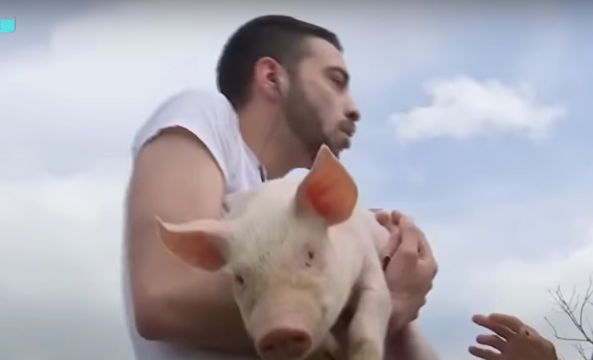 David Pușcaș a spus de ce le cere bani oamenilor pe TikTok: „Știu că nu e ușor”. Ce salariu a avut când muncea