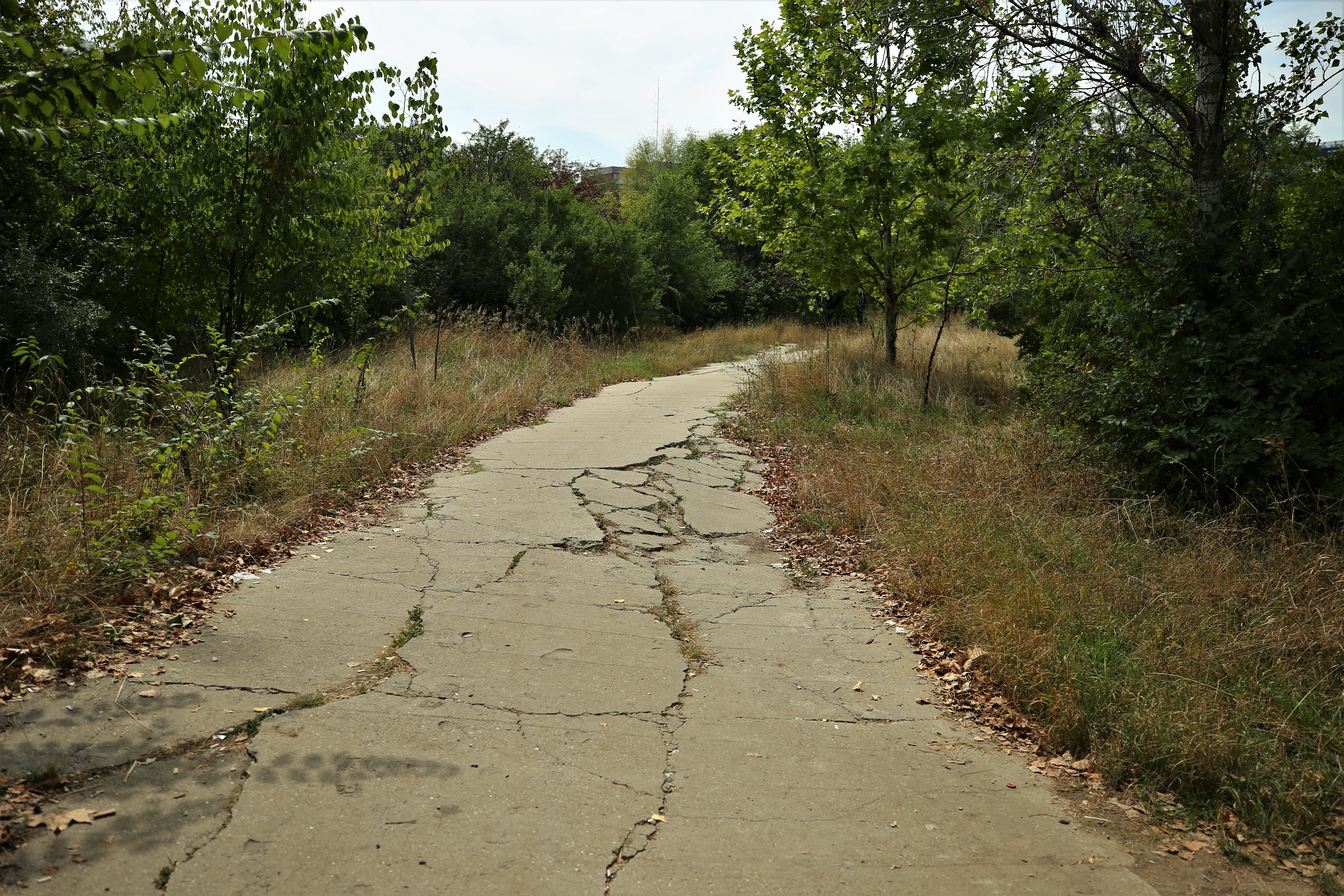 Cum ajunge un parc să nu mai aparțină cetățenilor. Cazul Grozăvești, împărțit între SRI și investitori imobiliari apropiați unui fost primar PDL