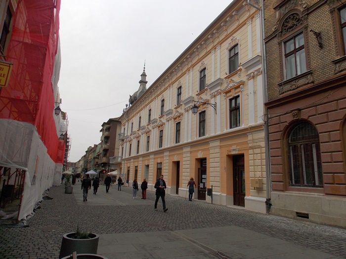 Casa Cuza, clădirea din Timișoara restaurată cu nuci de cocos și nisip de cuarț