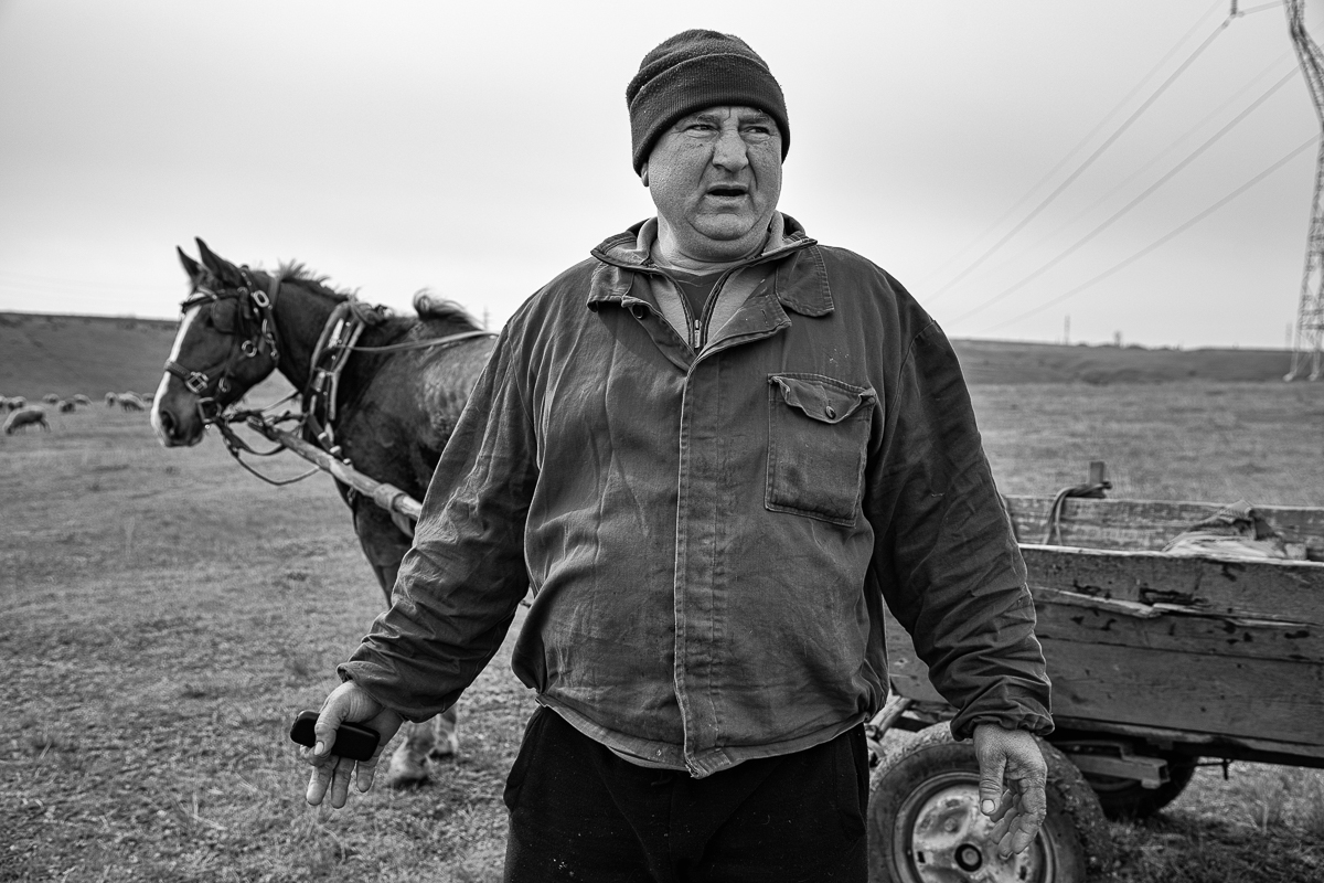 Povestea oierului care și-a chemat fiii din Anglia să-l ajute pentru mieii de Paște: ”O să tăiem și oile ca să nu moară de foame”