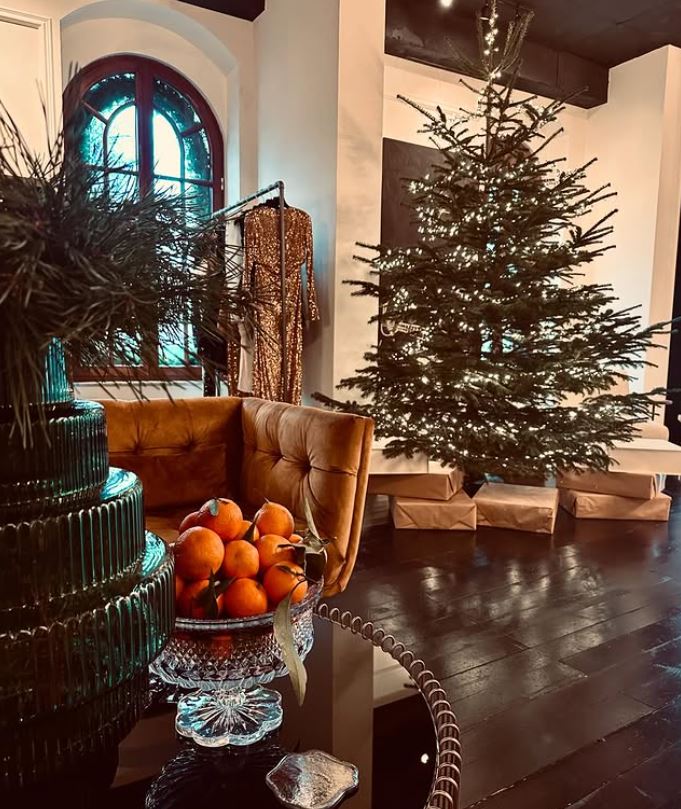 Imagini din sufrageria Danei Budeanu. Cum a decorat bradul de Crăciun din casa ei