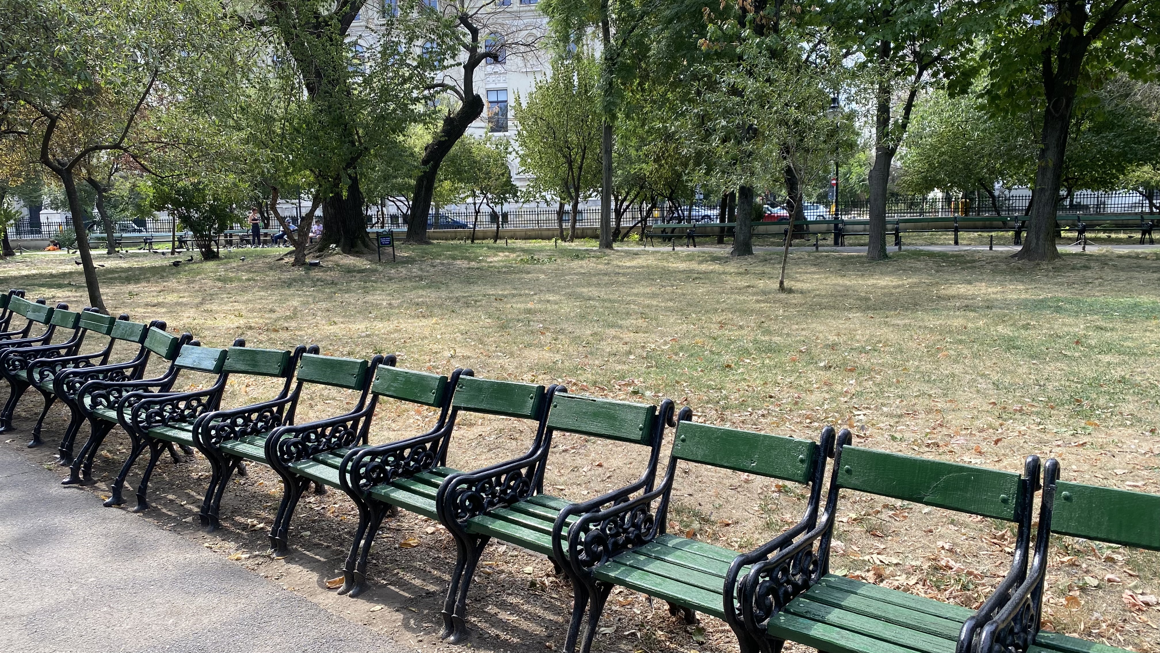 Cișmigiu, mândria tristă a Bucureștiului: pământ în loc de iarbă, alei distruse, garduri rupte și mirosuri insuportabile
