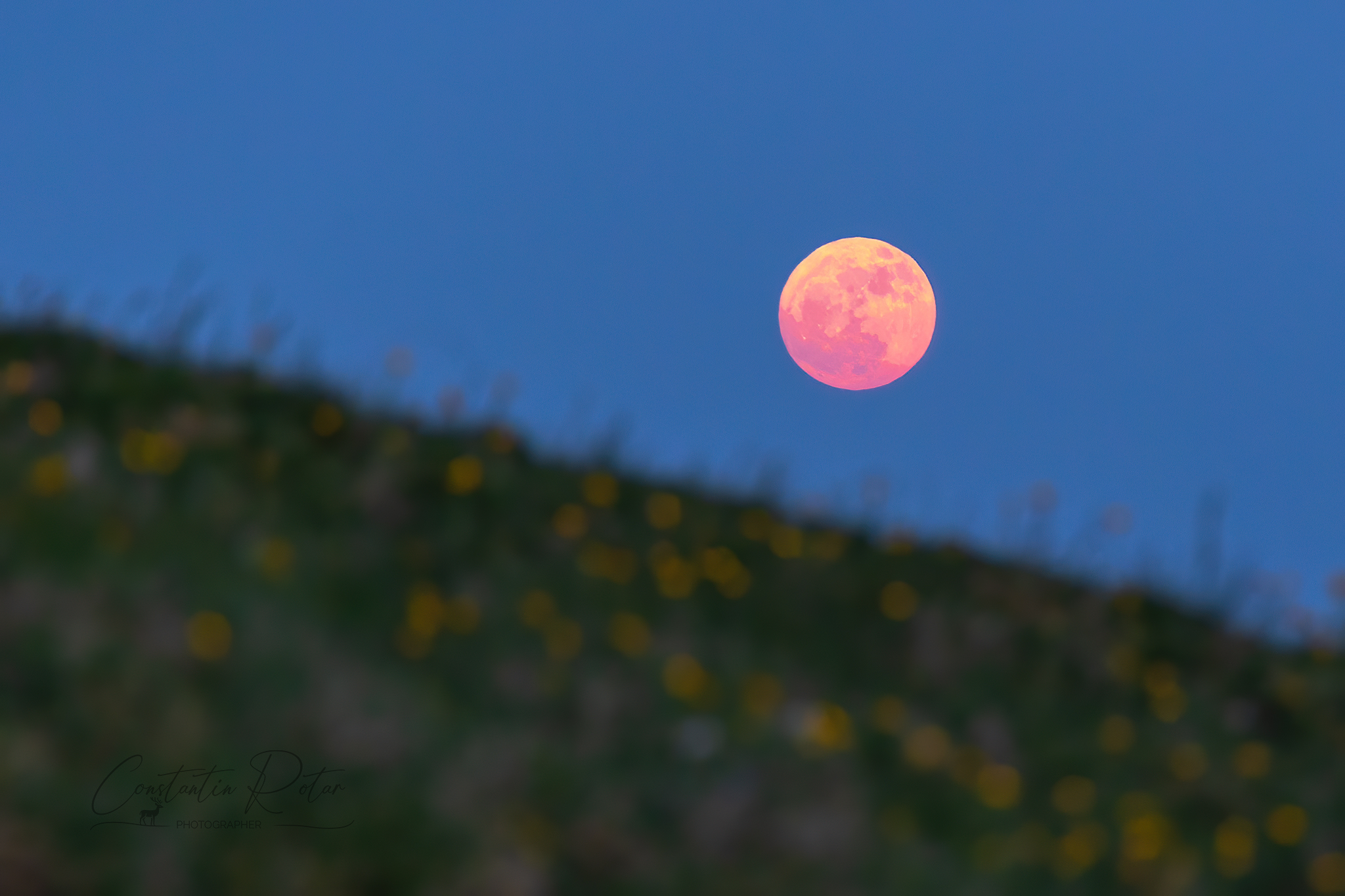 Cum s-a văzut „Luna Căpșună” pe cerul României. Imaginile impresionante din toată țara
