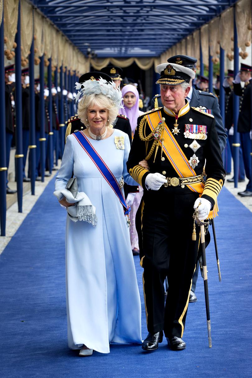 FOTO | Replica de neuitat a Prințesei Diana pentru Camilla Parker