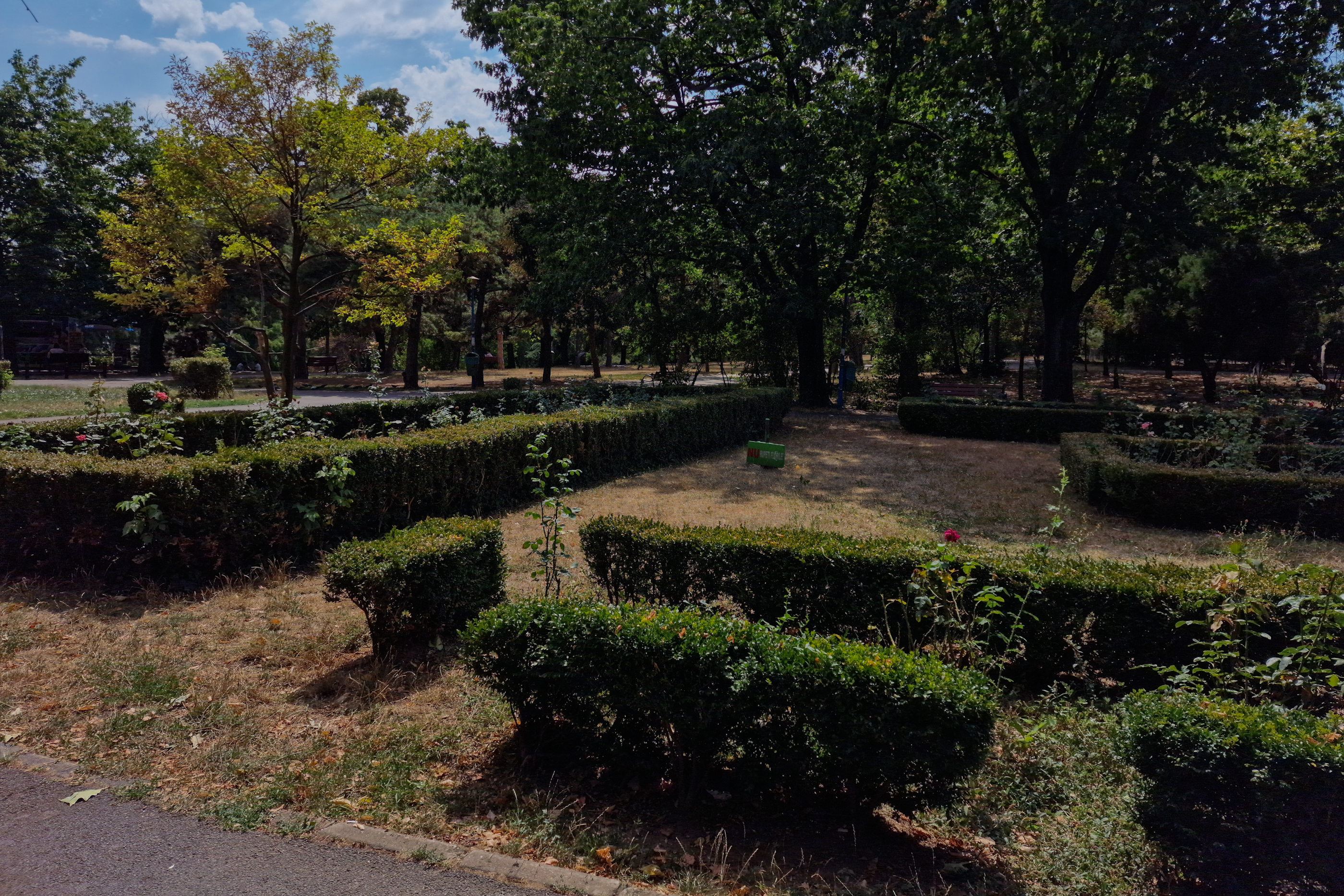 FOTO. În Parcul Circului din București, toată iarba e pârjolită. Rezistă, în schimb, gunoaiele