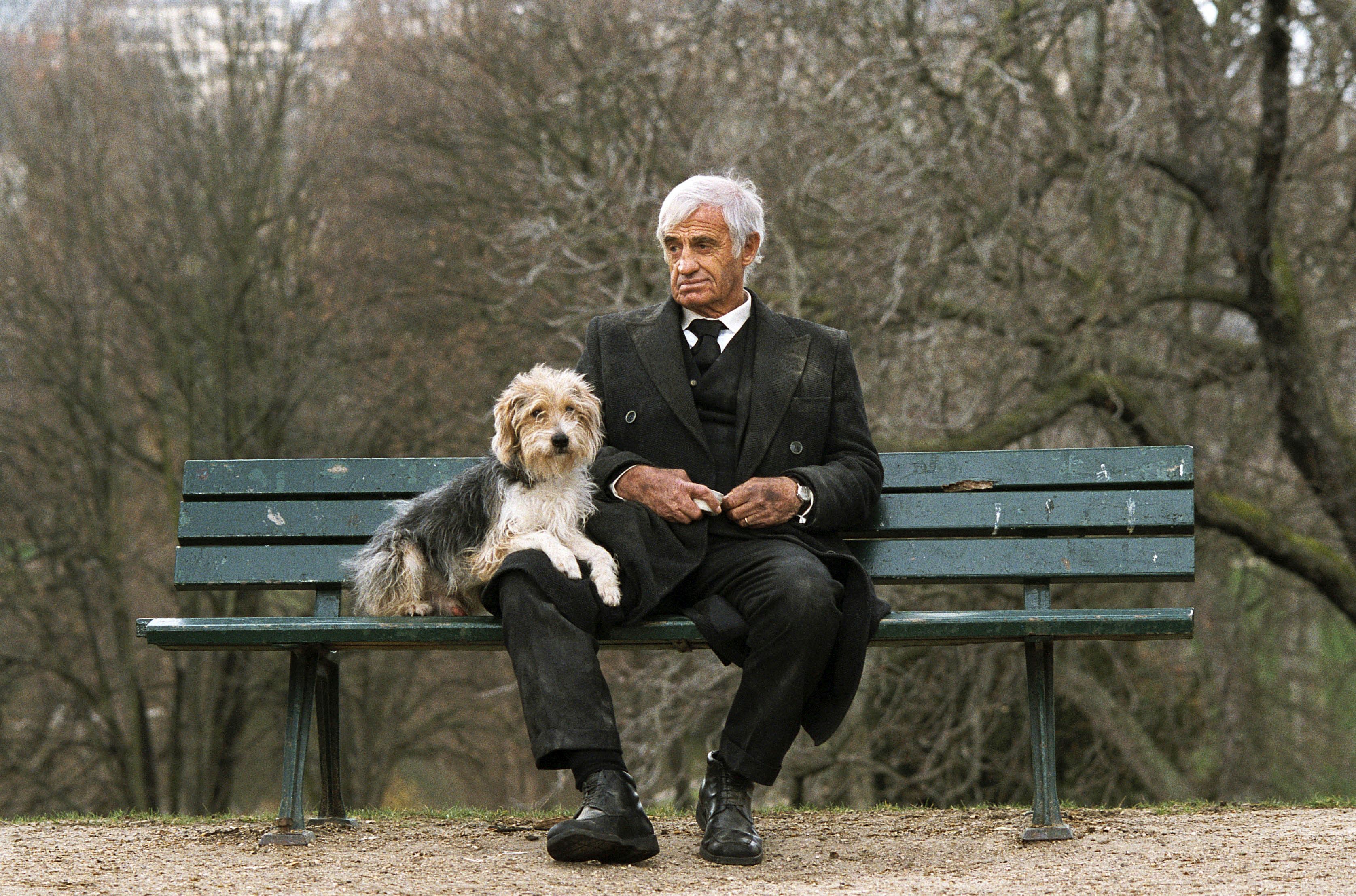 Actorul francez Jean-Paul Belmondo a murit, la 88 de ani. Cauza decesului nu a fost făcută publică