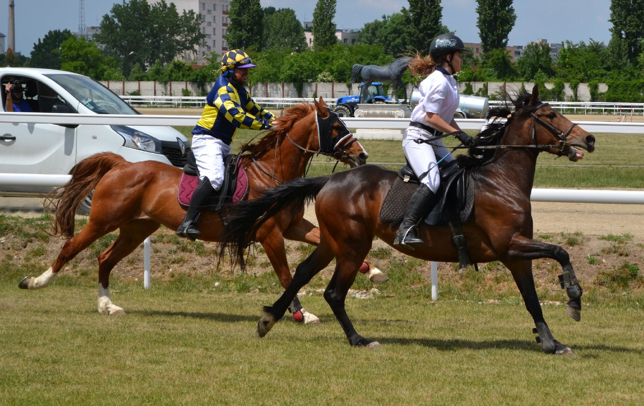 Armăsarul Ramon II a câștigat premiul ”1 mai” de pe hipodromul din Ploiești!