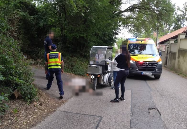 Óbudai kutyatámadás - így van most az ájultra harapott postás, megszólaltak a környékbeliek - van, aki már retteg a kóbor állatoktól Testvérhegyen