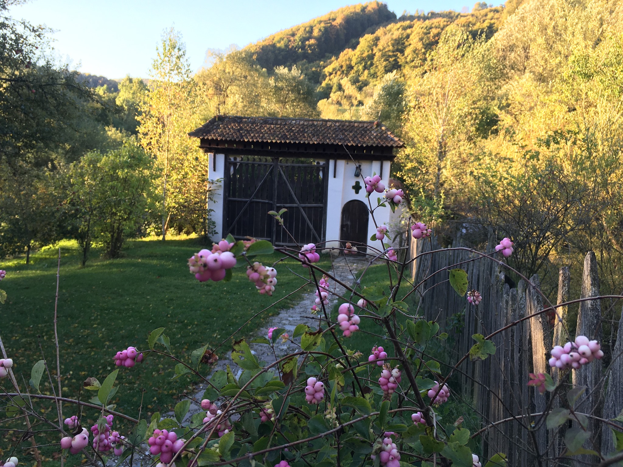 The New York Times a vizitat înainte de încoronare casa din Transilvania a regelui Charles, una dintre cele 56 de cabane, 12 case și 7 palate pe care acesta le deține