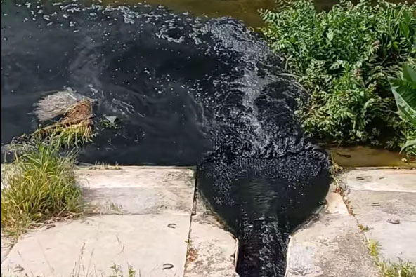 Rémálom Pest Vármegyében: Napok alatt fekete szennyvízáradattá változott az egykor kristálytiszta vizű folyó - fotók, részletek