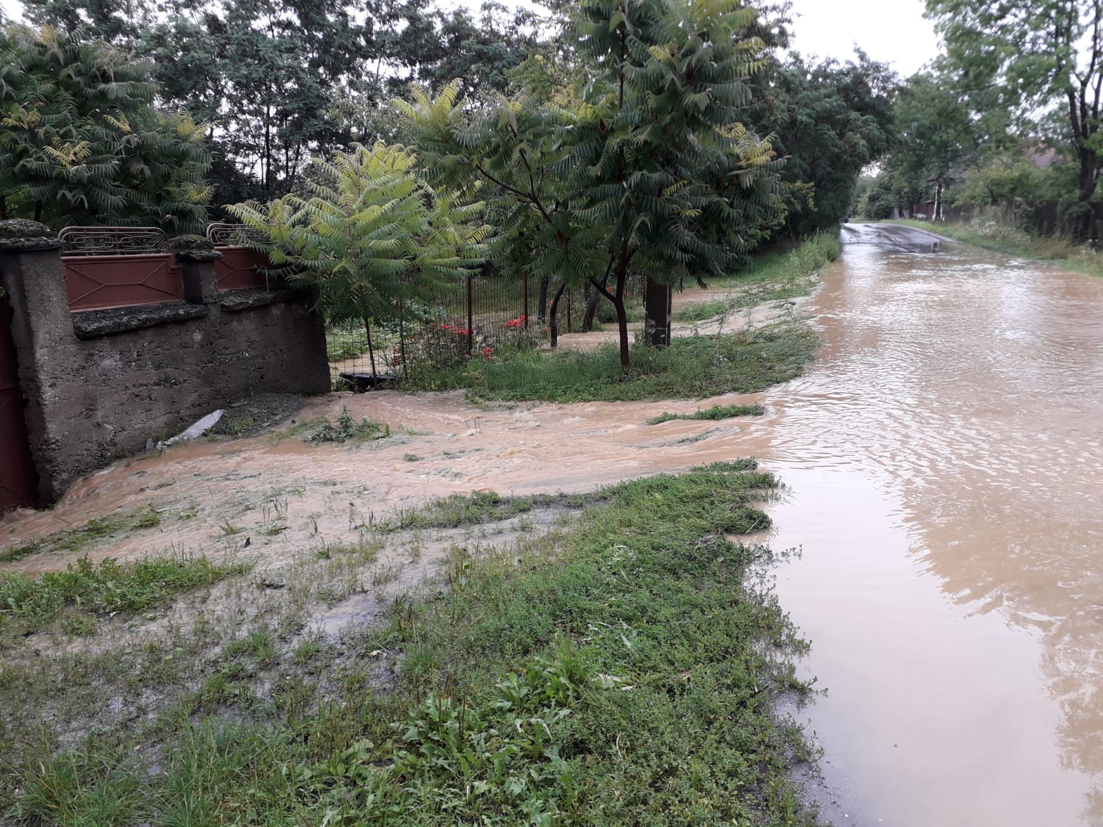 Mai multe gospodării din zona Făgărașului au fost inundate. Doi bolnavi au fost evacuați din case de către pompieri/ VIDEO&FOTO