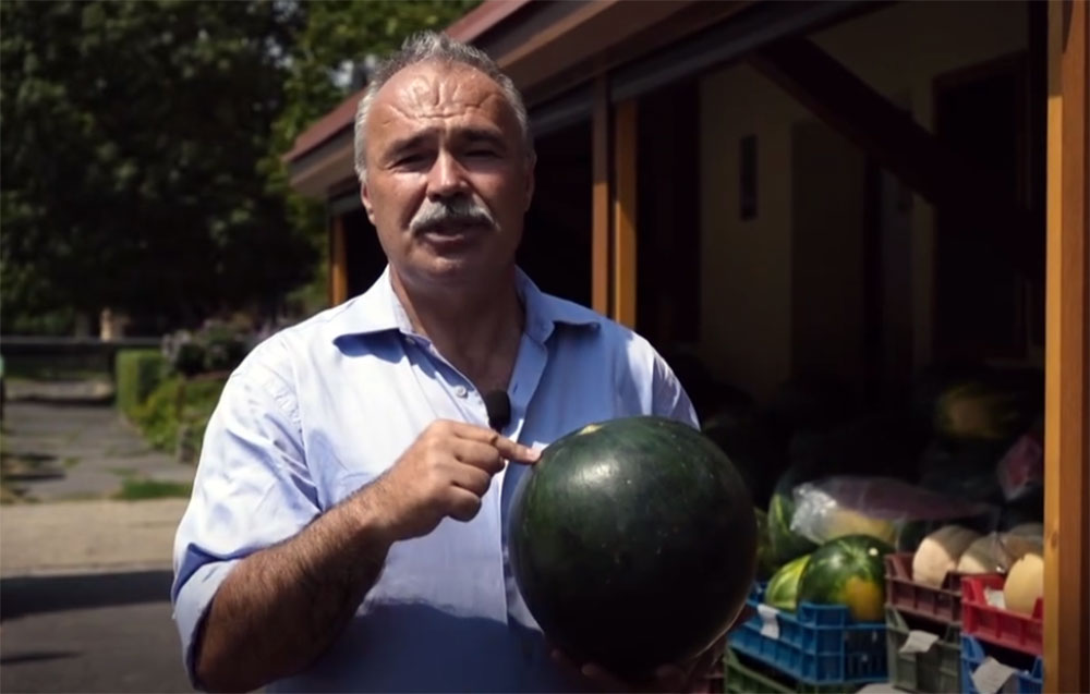 Nagy István: A magyar dinnye a legjobb, azt vegye mindenki!