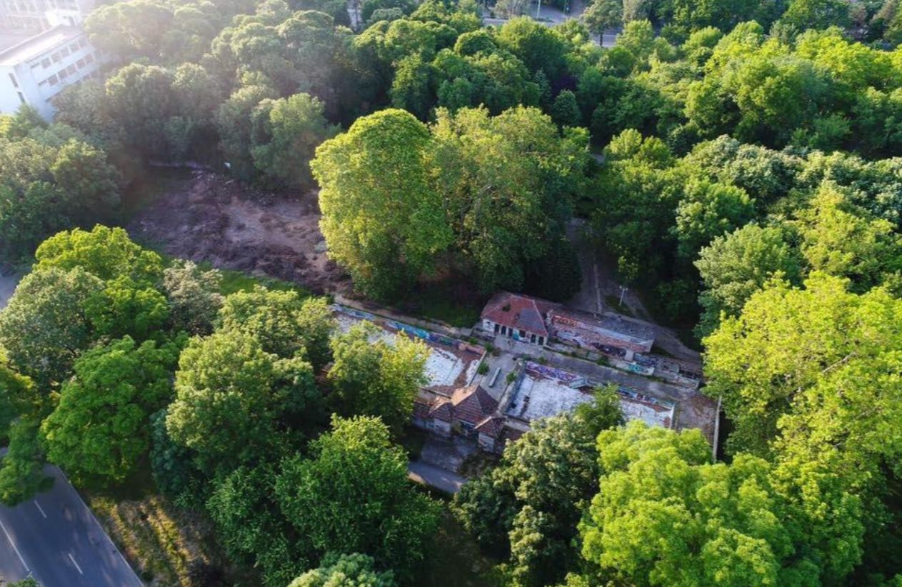 FOTO/ Cel mai important centru de natație al Timișoarei a murit din nepăsare. Ajunsă o ruină, fosta bază sportivă Uszoda este un focar de infecție