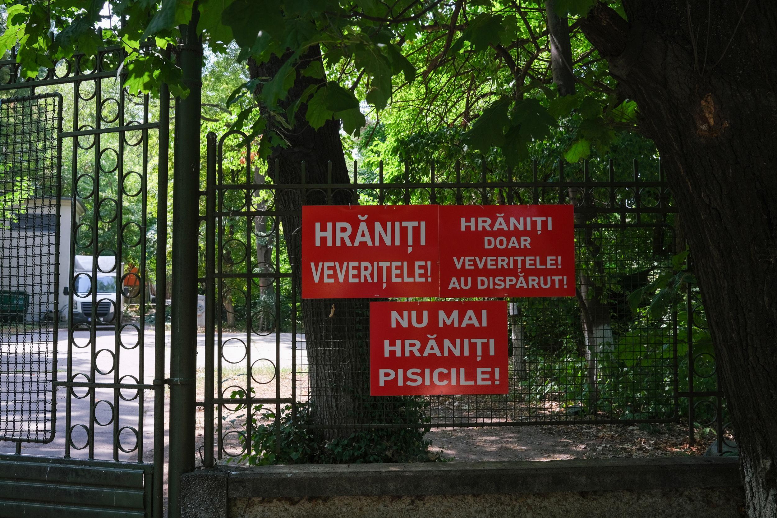 Parcul Herăstrău, degradarea continuă. Bănci rupte, iarbă lipsă, alei crăpate și arteziene fără apă