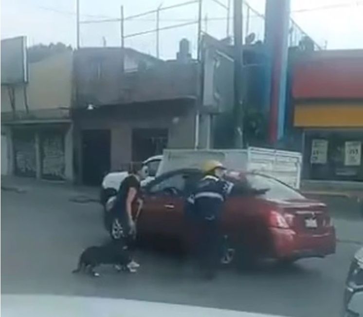 Un polițist a oprit traficul ca să salveze un câine. Gestul agentului a emoționat pe toată lumea | FOTO