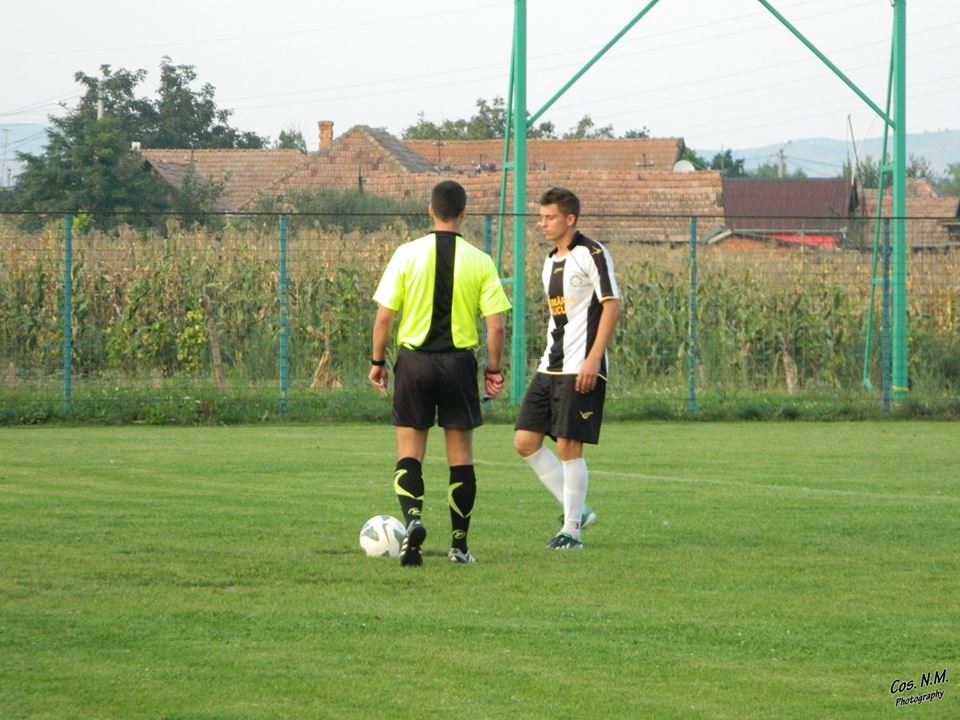 GALERIE FOTO / Arena din lanul de porumb! ^Aici va juca Adrian Mutu! 