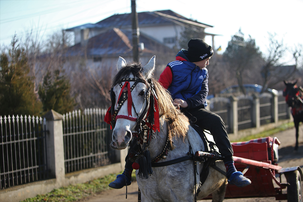 „Iapa asta e sufletul meu”. Ca în fiecare an de Bobotează, sătenii din comuna buzoiană Padina şi-au dus caii la „botezat”