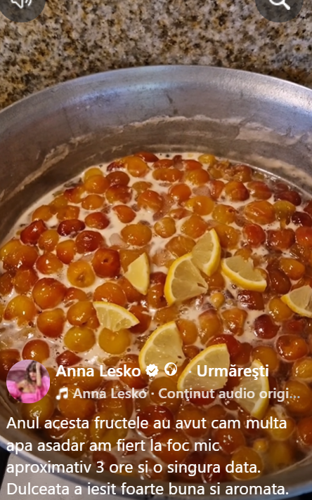 Ce rețetă de dulceață le-a recomandat Anna Lesko fanilor. Rezultatul este uimitor. „Anul acesta, fructele au avut cam multă apă”